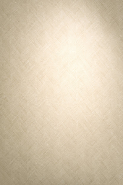 VEER DECOR Rythmic Chevron Stripe Wallpaper Chevron; Texture; Stripes Transitional beige  Wallpaper - VRPH902-1058