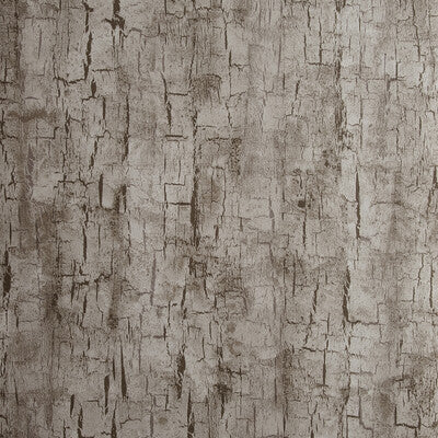 CLARKE AND CLARKE TREE BARK PRINT--SOLID-TEXTURE ,,   - W0062/05.CAC.0