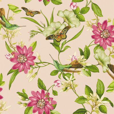 CLARKE AND CLARKE PINK LOTUS WP PRINT---ANIMAL/INSECTS MULTI,PINK,   - W0132/01.CAC.0