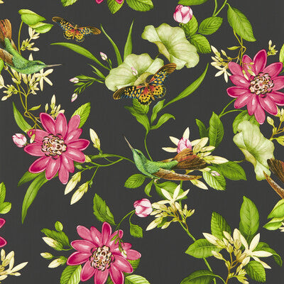 CLARKE AND CLARKE PINK LOTUS WP PRINT---ANIMAL/INSECTS MULTI,BLACK,   - W0132/03.CAC.0