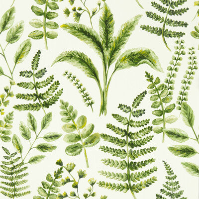 CLARKE AND CLARKE BRACKEN PRINT---BOTANICAL & FLORAL GREEN,,   - W0156/02.CAC.0