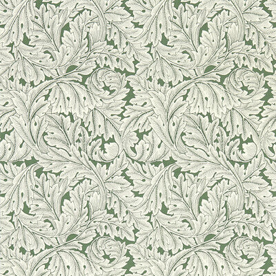 CLARKE AND CLARKE ACANTHUS PRINT---BOTANICAL & FLORAL OLIVE GREEN,WHITE,   - W0175/01.CAC.0