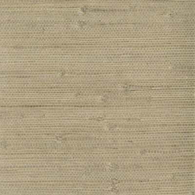 KRAVET DESIGN KRAVET DESIGN GRASSCLOTH--SOLID-TEXTURE BEIGE,BEIGE,   - W3047.1606.0