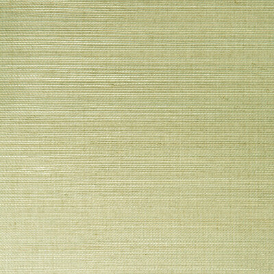 KRAVET DESIGN KRAVET DESIGN GRASSCLOTH--SOLID-TEXTURE SAGE,GREY,   - W3205.130.0