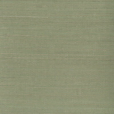 KRAVET DESIGN KRAVET DESIGN GRASSCLOTH--TEXTURE- SAGE,SAGE,   - W3275.130.0