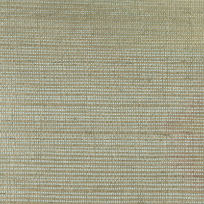 KRAVET DESIGN KRAVET DESIGN GRASSCLOTH--TEXTURE- GREY,LIGHT BLUE,   - W3276.11.0