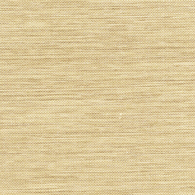 KRAVET DESIGN KRAVET DESIGN GRASSCLOTH--TEXTURE- BEIGE,BROWN,   - W3281.16.0