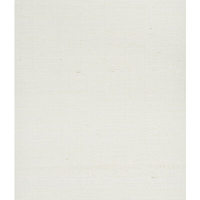 KRAVET DESIGN KRAVET DESIGN GRASSCLOTH--TEXTURE- BEIGE,BEIGE,   - W3284.116.0