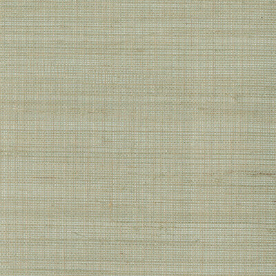 KRAVET DESIGN KRAVET DESIGN GRASSCLOTH--TEXTURE- BEIGE,BEIGE,   - W3287.116.0