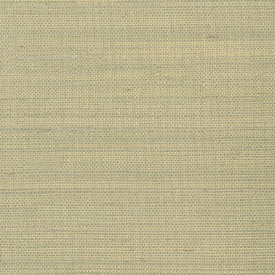 KRAVET DESIGN KRAVET DESIGN GRASSCLOTH--TEXTURE- BEIGE,BEIGE,   - W3287.16.0