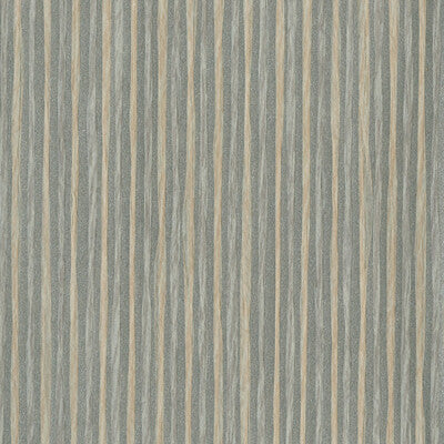 KRAVET DESIGN KRAVET DESIGN ---STRIPES BEIGE,SILVER,METALLIC   - W3288.1611.0