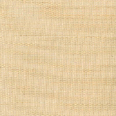 KRAVET DESIGN KRAVET DESIGN GRASSCLOTH--TEXTURE- BEIGE,BEIGE,   - W3291.16.0