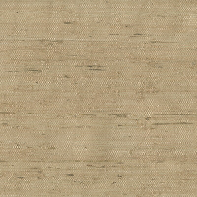 KRAVET DESIGN KRAVET DESIGN GRASSCLOTH--TEXTURE- BEIGE,CAMEL,   - W3303.16.0