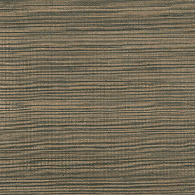 KRAVET DESIGN KRAVET DESIGN GRASSCLOTH--SOLID-TEXTURE GOLD,BRONZE,BLACK   - W3306.84.0