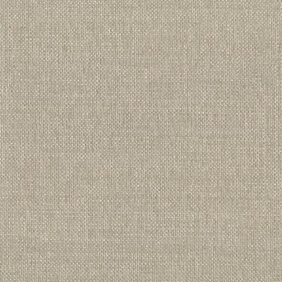 KRAVET DESIGN KRAVET DESIGN GRASSCLOTH--TEXTURE- BEIGE,IVORY,NEUTRAL   - W3309.116.0