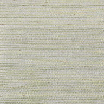 KRAVET DESIGN KRAVET DESIGN GRASSCLOTH--TEXTURE- SILVER,METALLIC,IVORY   - W3310.11.0