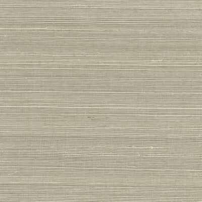 KRAVET DESIGN KRAVET DESIGN GRASSCLOTH--TEXTURE- IVORY,TAUPE,   - W3313.106.0