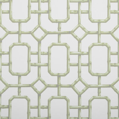 KRAVET COUTURE BAMBU FRET PRINT---MODERN CELERY,IVORY,   - W3404.23.0