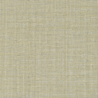 KRAVET DESIGN KRAVET DESIGN GRASSCLOTH--STRIPES-TEXTURE BEIGE,SILVER,METALLIC   - W3420.16.0