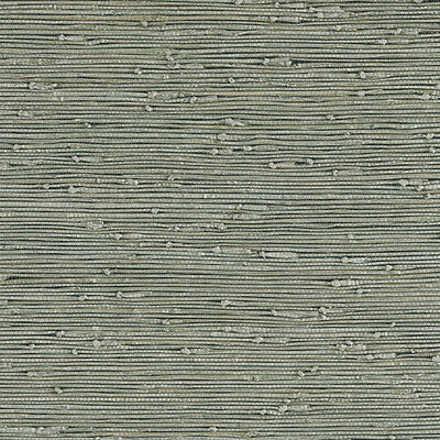 KRAVET DESIGN KRAVET DESIGN GRASSCLOTH--TEXTURE- GREEN,SILVER,   - W3421.30.0