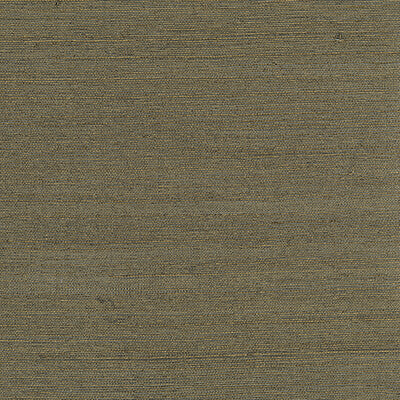 KRAVET DESIGN KRAVET DESIGN GRASSCLOTH--METALLIC-TEXTURE BRONZE,GOLD,   - W3426.6.0