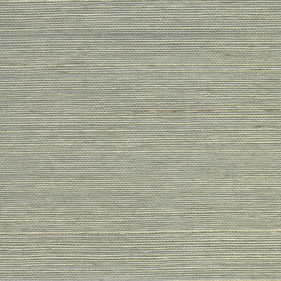 KRAVET DESIGN KRAVET DESIGN GRASSCLOTH--TEXTURE-METALLIC LIGHT GREY,SILVER,METALLIC   - W3453.11.0