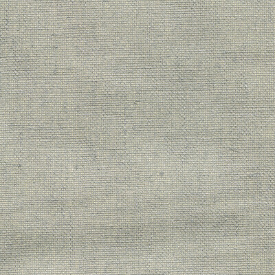 KRAVET DESIGN KRAVET DESIGN GRASSCLOTH--METALLIC-TEXTURE SILVER,METALLIC,   - W3456.11.0