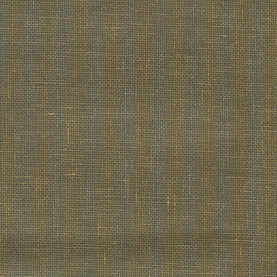 KRAVET DESIGN KRAVET DESIGN GRASSCLOTH--TEXTURE- TAUPE,GOLD,GREY   - W3458.106.0