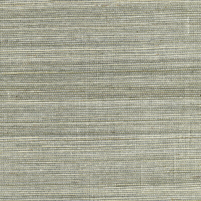 KRAVET DESIGN KRAVET DESIGN GRASSCLOTH--TEXTURE-METALLIC SILVER,METALLIC,LIGHT GREY   - W3460.11.0