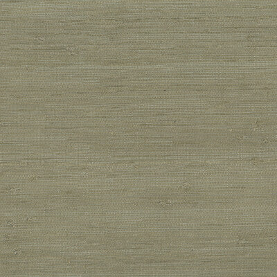 KRAVET DESIGN KRAVET DESIGN GRASSCLOTH--SOLID-TEXTURE TAUPE,TAUPE,   - W3540.106.0