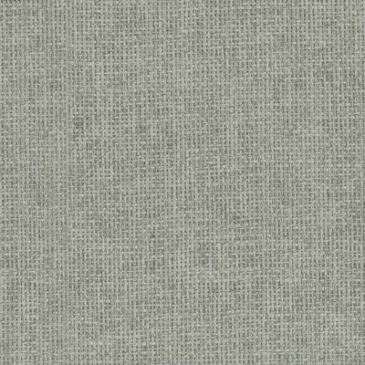 KRAVET DESIGN KRAVET DESIGN GRASSCLOTH--METALLIC-TEXTURE GREY,METALLIC,   - W3549.11.0