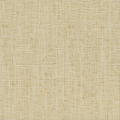 KRAVET DESIGN KRAVET DESIGN GRASSCLOTH--METALLIC-TEXTURE GOLD,IVORY,   - W3550.14.0