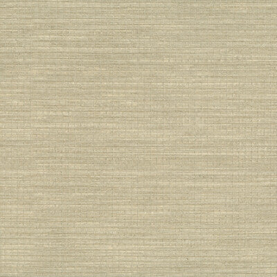 KRAVET DESIGN KRAVET DESIGN GRASSCLOTH--SOLID-TEXTURE BEIGE,BEIGE,   - W3553.116.0