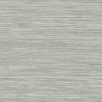 KRAVET DESIGN KRAVET DESIGN GRASSCLOTH--SOLID-TEXTURE WHITE,GREY,SILVER   - W3555.11.0