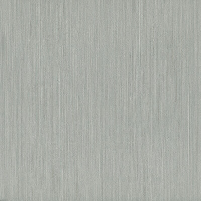 KRAVET DESIGN KRAVET DESIGN GRASSCLOTH--SOLID-TEXTURE SILVER,GREY,   - W3558.11.0