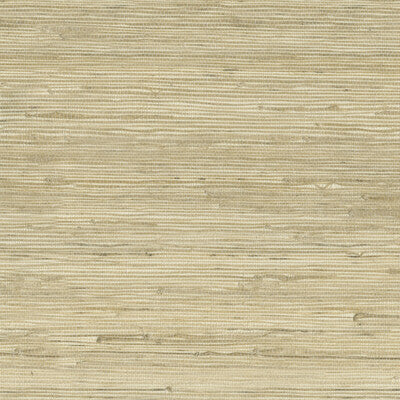 KRAVET DESIGN KRAVET DESIGN GRASSCLOTH--SOLID-TEXTURE BEIGE,BEIGE,   - W3566.16.0