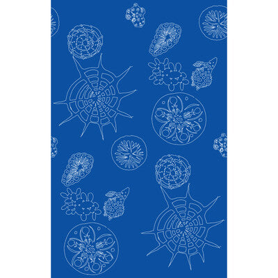 KRAVET COUTURE TELESCOPIC P PRINT--NOVELTY- BLUE,WHITE,   - W3585.5.0