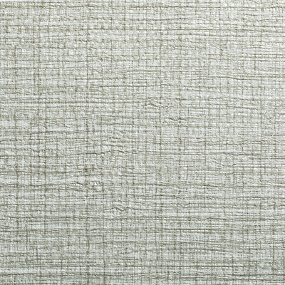 KRAVET DESIGN KRAVET DESIGN ---TEXTURE BEIGE,TAUPE,NEUTRAL   - W3636.16.0