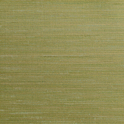 KRAVET DESIGN KRAVET DESIGN --SOLID-TEXTURE OLIVE GREEN,GREEN,CELERY   - W3637.23.0