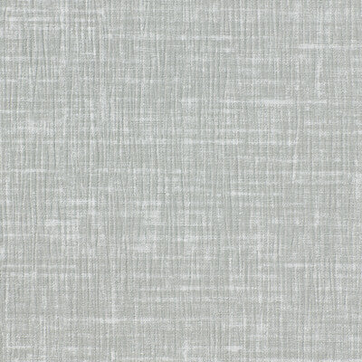 KRAVET DESIGN KRAVET DESIGN ---TEXTURE SILVER,LIGHT GREY,   - W3646.11.0