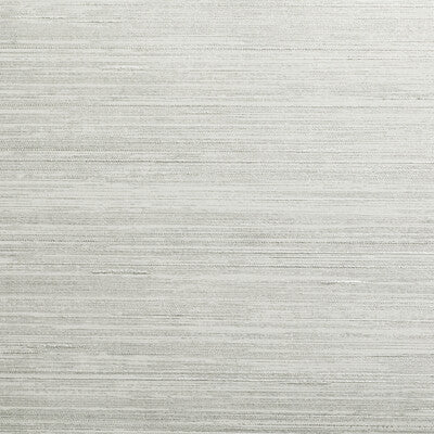 KRAVET DESIGN KRAVET DESIGN ---TEXTURE SILVER,LIGHT GREY,   - W3658.11.0