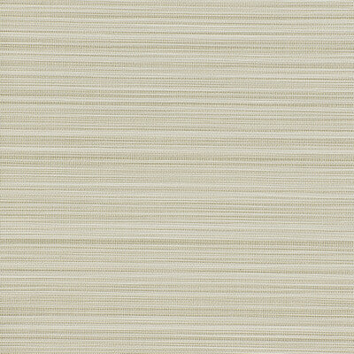 KRAVET DESIGN KRAVET DESIGN ---TEXTURE NEUTRAL,TAUPE,BEIGE   - W3660.106.0