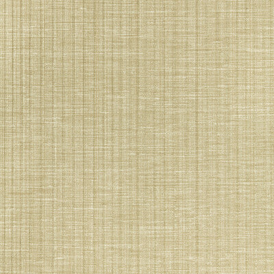 KRAVET DESIGN KRAVET DESIGN ---TEXTURE W3664-421   - W3664.421.0