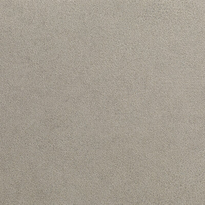 KRAVET DESIGN KRAVET DESIGN --SOLID-TEXTURE TAUPE,NEUTRAL,BEIGE   - W3677.106.0