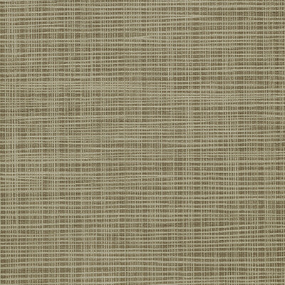 KRAVET DESIGN KRAVET DESIGN ---TEXTURE WHEAT,CAMEL,BROWN   - W3684.64.0