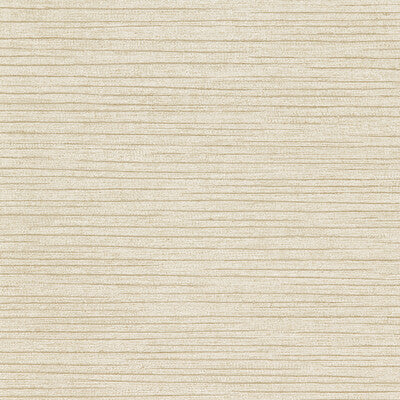 KRAVET DESIGN KRAVET DESIGN ---TEXTURE BEIGE,TAUPE,NEUTRAL   - W3702.116.0