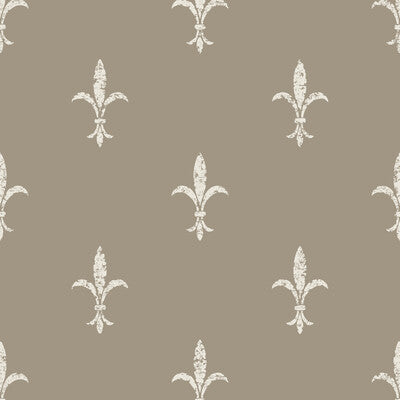 KRAVET DESIGN KRAVET DESIGN PRINT--METALLIC-TONE ON TONE BEIGE,WHITE,METALLIC   - W3717.16.0