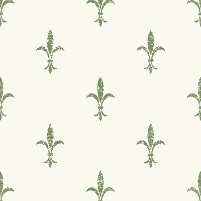 KRAVET DESIGN KRAVET DESIGN PRINT--TONE ON TONE- WHITE,GREEN,   - W3717.3.0