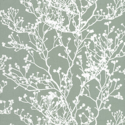 KRAVET DESIGN KRAVET DESIGN PRINT--BOTANICAL & FLORAL- GREEN,WHITE,   - W3728.3.0