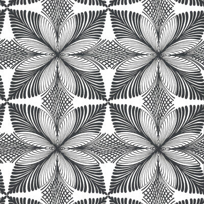 KRAVET DESIGN KRAVET DESIGN PRINT--BOTANICAL & FLORAL- BLACK,WHITE,   - W3734.816.0